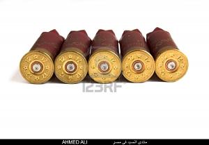     

:	4416469-shotgun-shells-isolated-shotgun-bullets.jpg
:	725
:	97.3 
:	18249