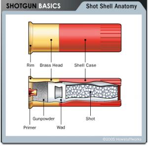     

:	shotgun-shell.jpg
:	762
:	13.6 
:	18258