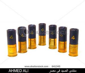     

:	stock-photo--guage-shotgun-shells-641345.jpg
:	740
:	89.1 
:	18261