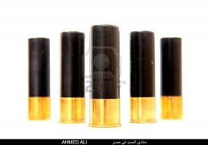     

:	4388262-black-and-gold-shotgun-shells.jpg
:	699
:	88.7 
:	18248