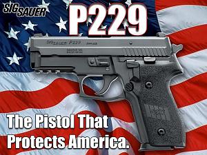     

:	00144%20-%20P229-Protects[1].jpg‏
:	2165
:	196.7 
:	47152